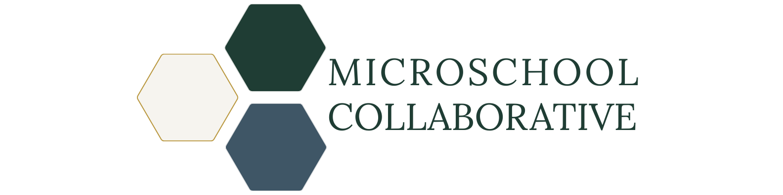 Microschool Collaborative Inc Logo